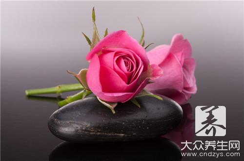 月季花的功效与作用