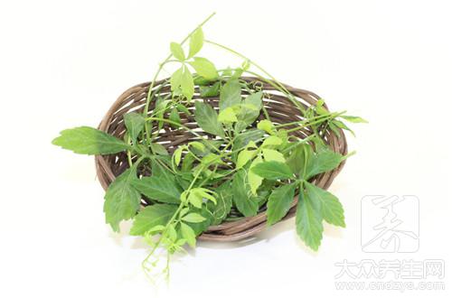 绞股蓝的功效与作用及食用方法
